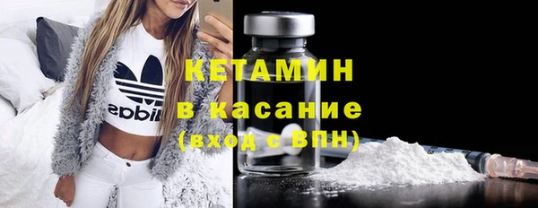 молекула духа Вяземский