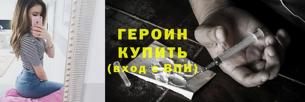 молекула духа Вяземский