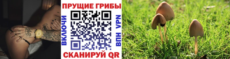 Псилоцибиновые грибы прущие грибы  kraken маркетплейс  Давлеканово  цена  
